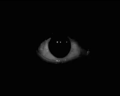 A grainy black and white eye, opening and looking around