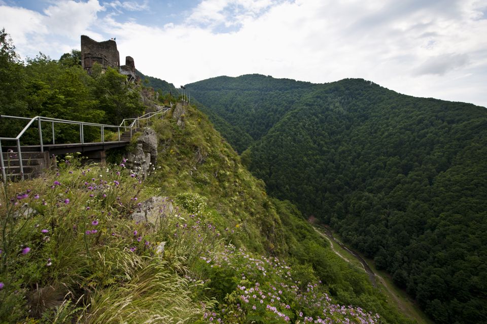 Poenari Citadel