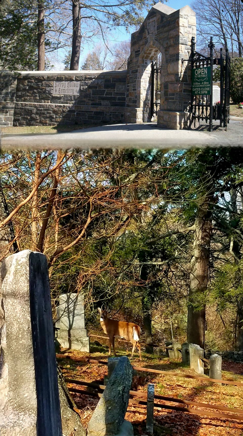 Sleepy Hollow Cemetery